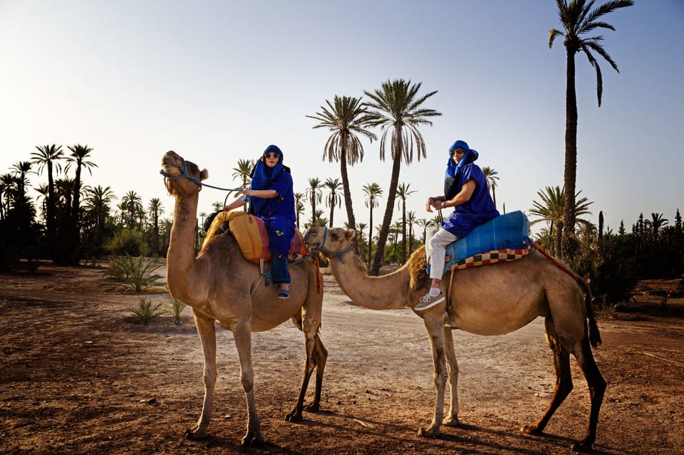 Camel Ride Agafay Desert